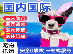 三沙航空物流国际宠物托运 【国